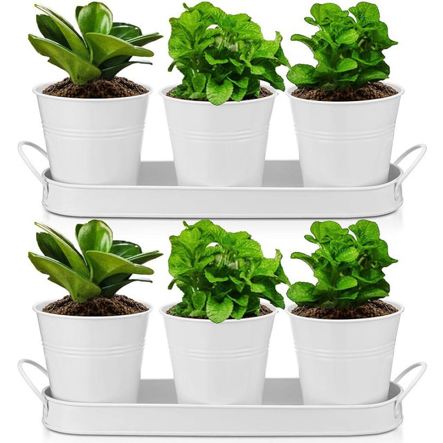 Hicarer 2 Sets Herb Planter with Tray Metal Herb Garden Planter with Drainage Farmhouse Windowsill Pots for Indoor Plants Flower Succulent Outdoor Kitchen Apartment Balcony Window (White)