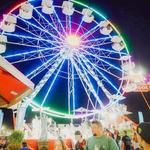 Annual Pima County Fair