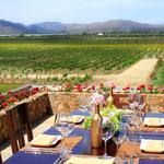 Vineyards tour