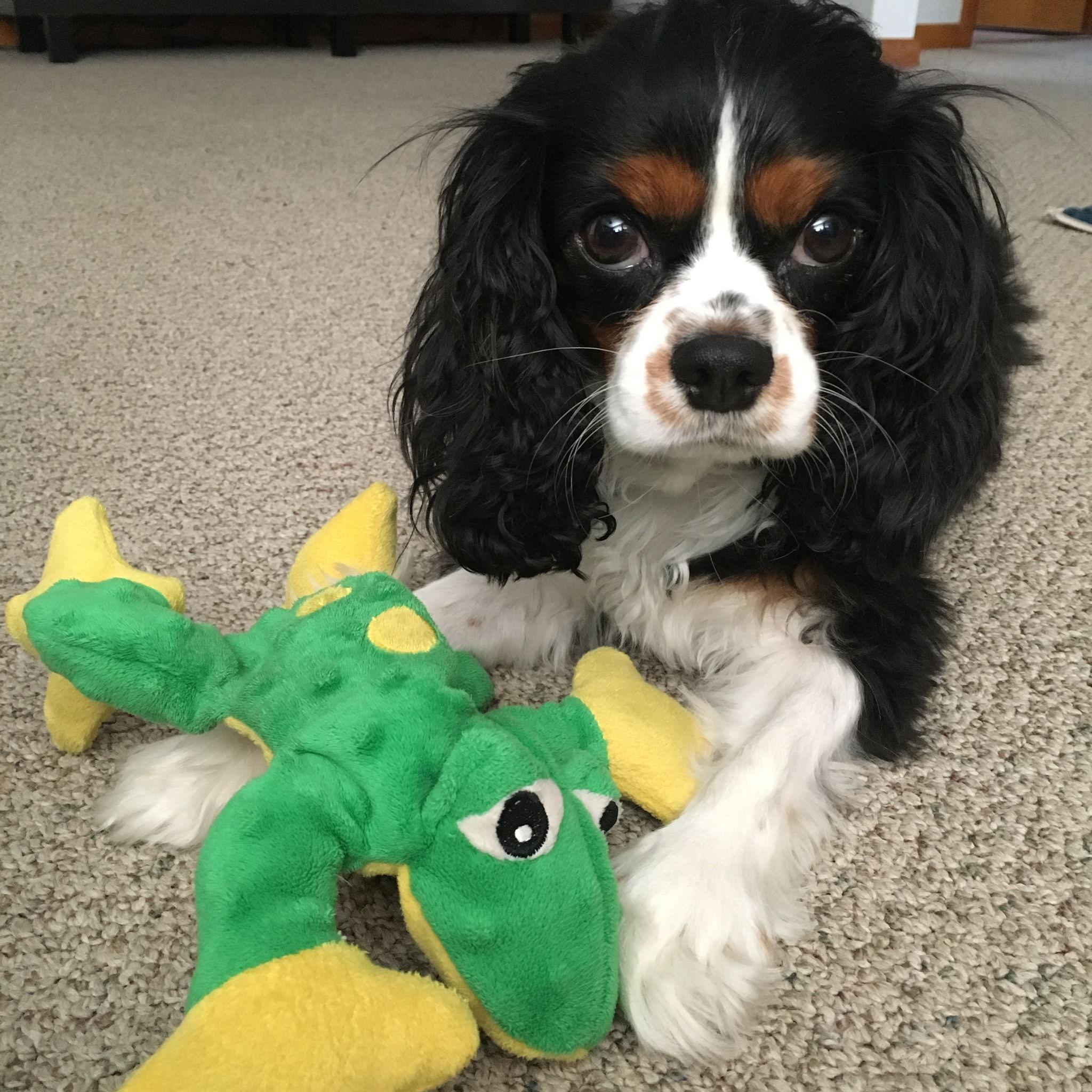 Mike's favorite toy, Mr. Frog.