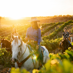 horseback riding tours