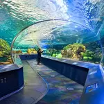 Ripley's Aquarium of Canada