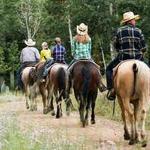 Horseback Riding