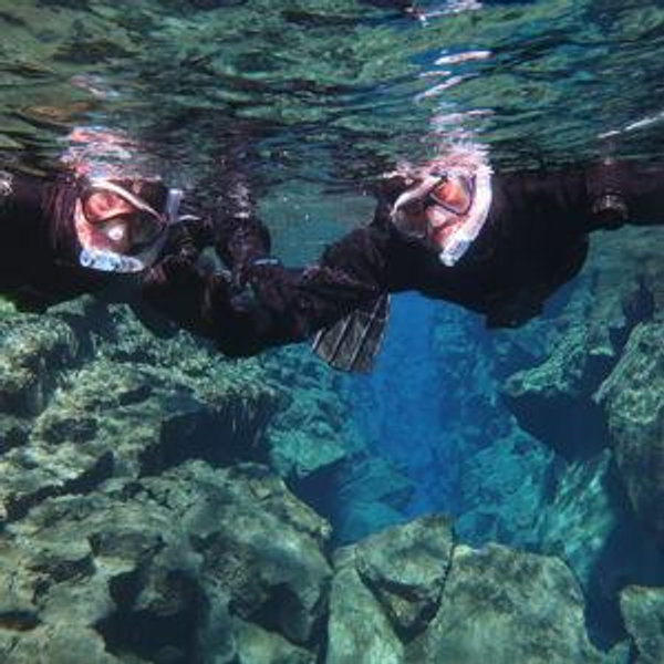 Snorkeling Trips On Our Honeymoon