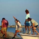 Folly Beach Eco Tour (Morris Island)