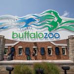 The Buffalo Zoo