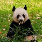 National Zoo