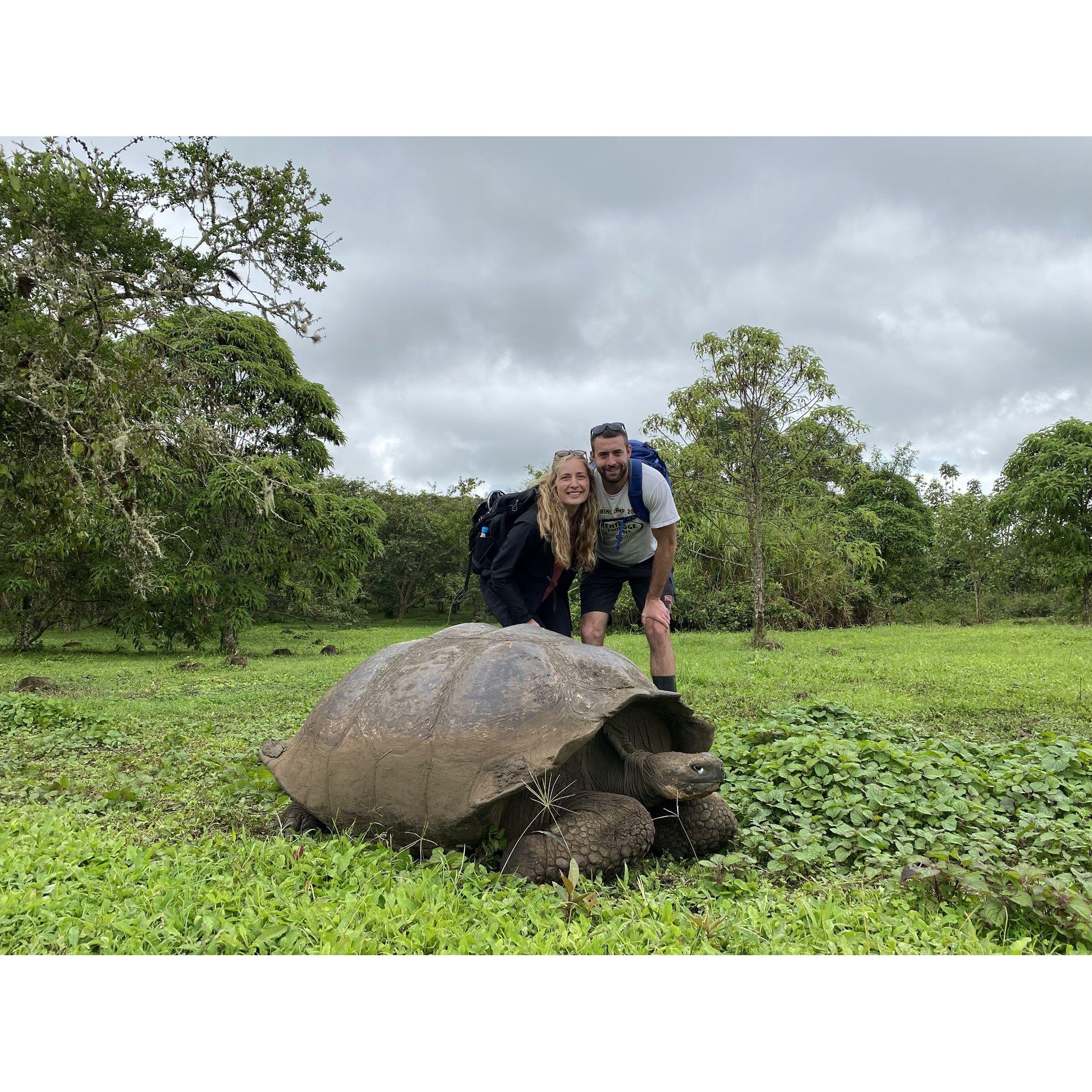 Experiencing all of the cool wild life in the Galapagos Islands!