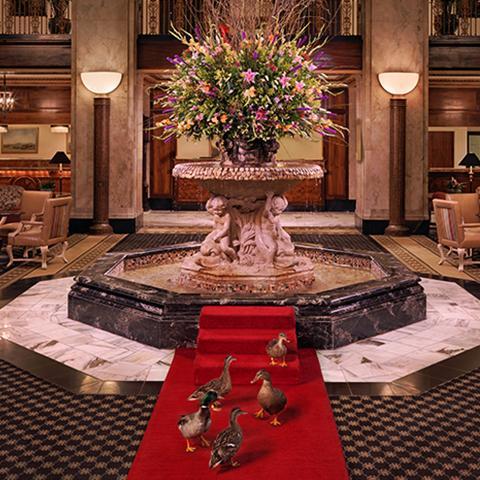 The Wedding Website of Erin Pierce and Sean Deeney