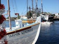Tarpon Springs