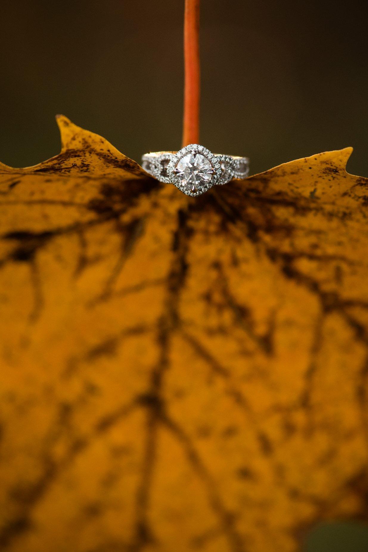 The Wedding Website of Jenna Dunn and Ryan Dickey