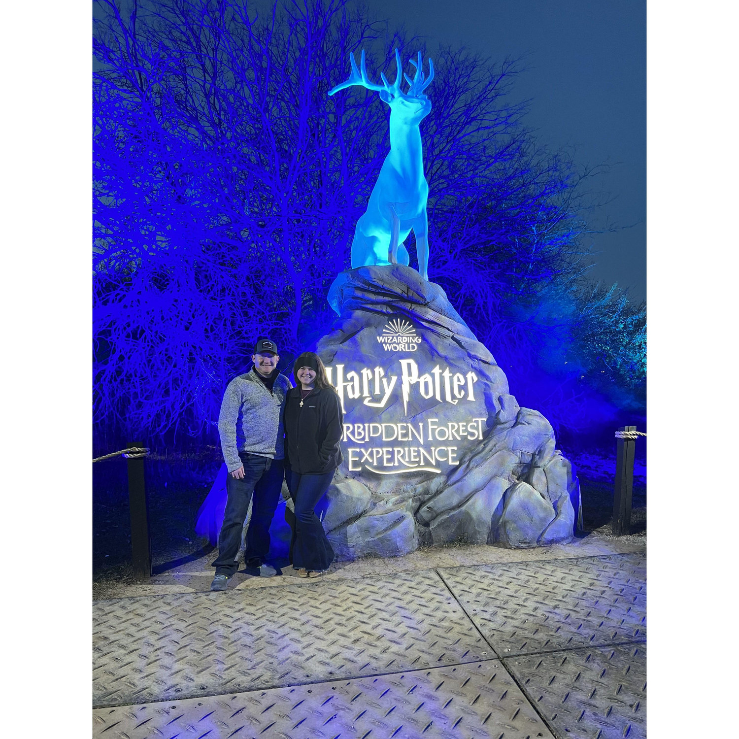 Harry Potter in Dallas 🪄