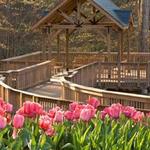 The State Botanical Garden of Georgia