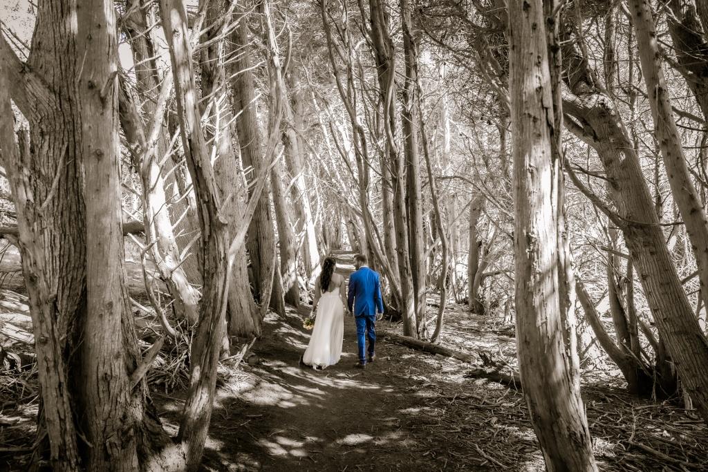 The Wedding Website of Kira Whitaker and James Whitaker