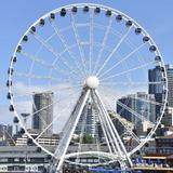 The Seattle Great Wheel