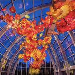 Chihuly Garden and Glass