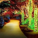 Botanical Cactus Garden