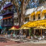 Park Avenue- Winter Park