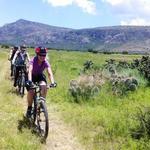 Bici Burro Bike Tours