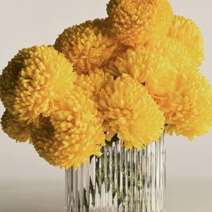 BERNADOTTE Oval Vase in glass - Design inspired by Sigvard Bernadotte