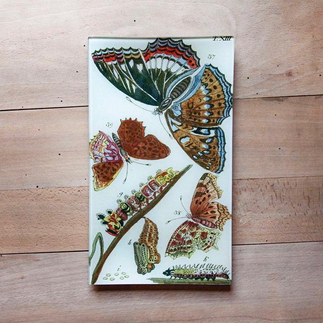 Butterflies Rectangular Tray