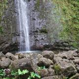 Manoa Falls Trail