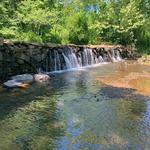 Newlin Grist Mill Park
