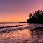 look at fossils and watch the sunset at New Brighton State Beach