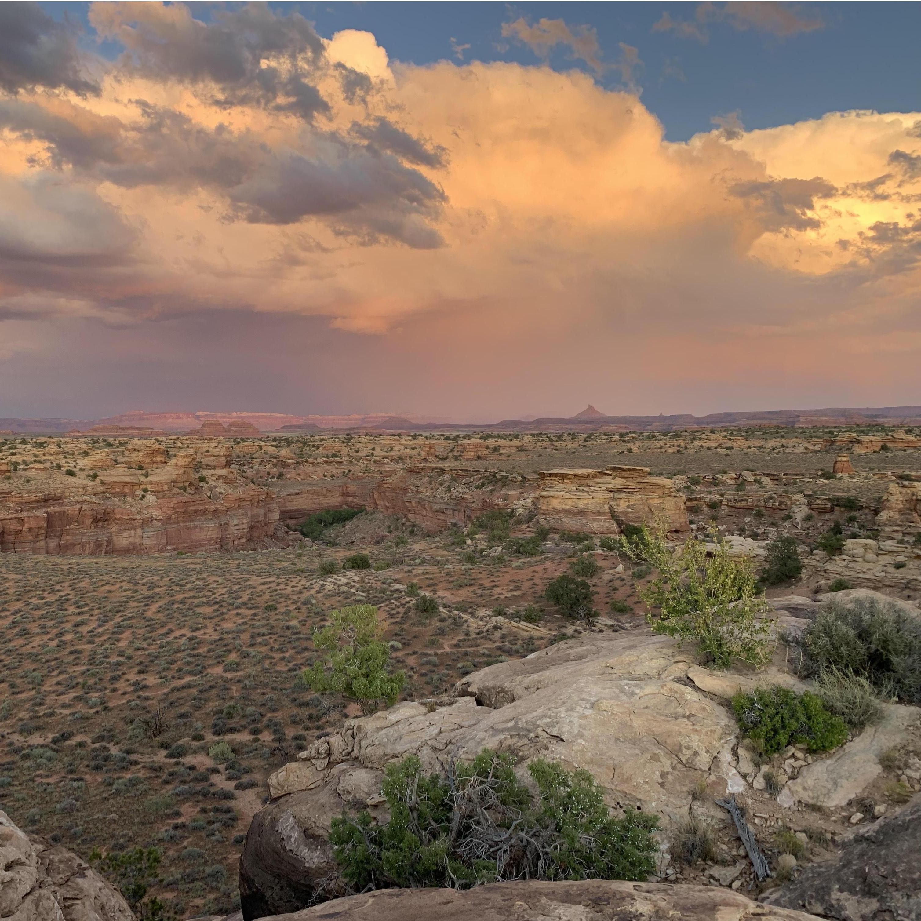 Slickrock sunset part 2: the pinkening.