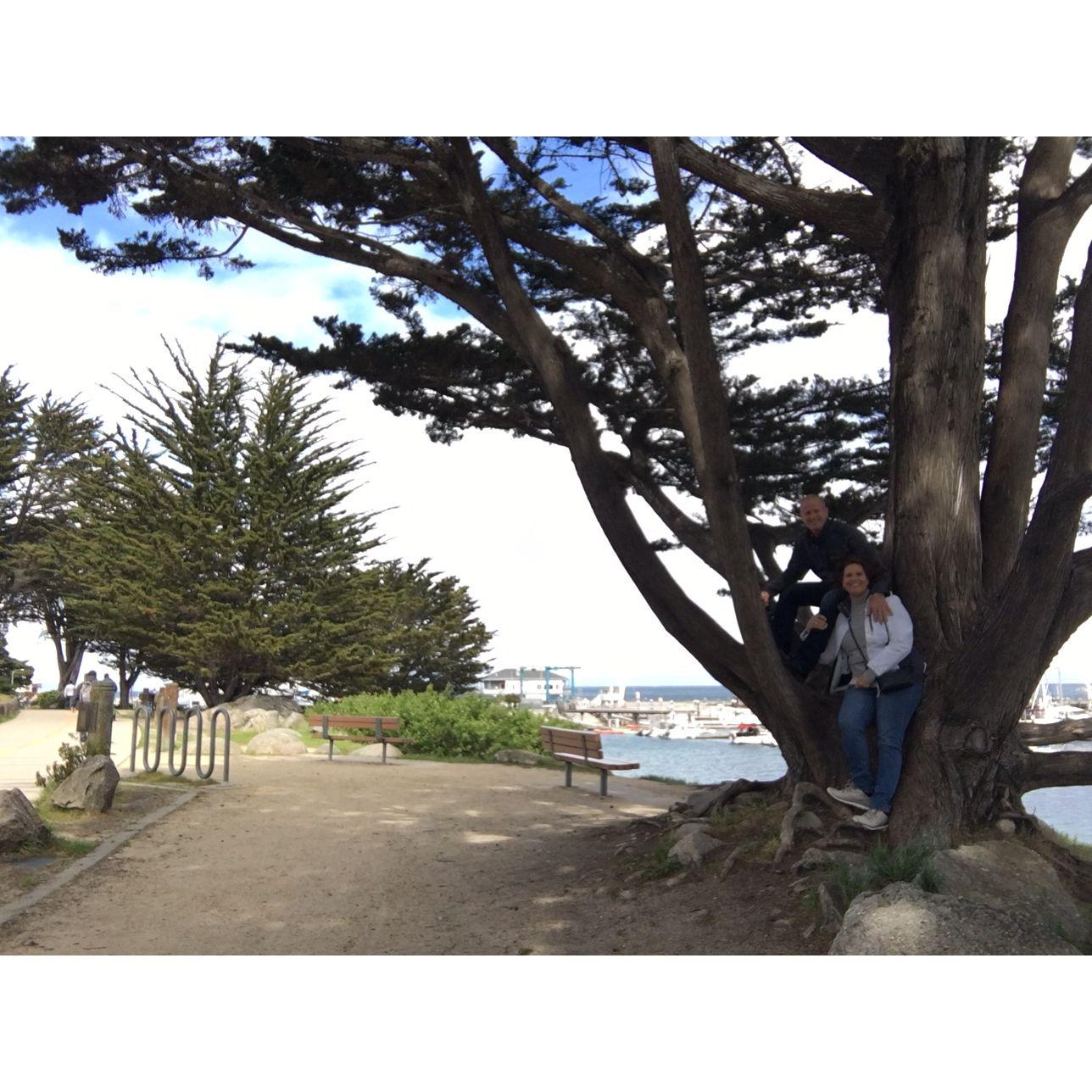 Monterey and the start of the COVID shutdown.