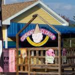 Conehead's Ice Cream
