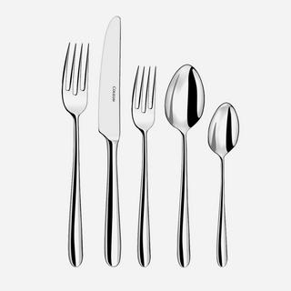 Fusain Bright Stainless Steel 5-Piece Place Setting, Service for 1