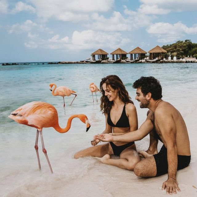 Honeymoon Excursion - Flamingo Beach
