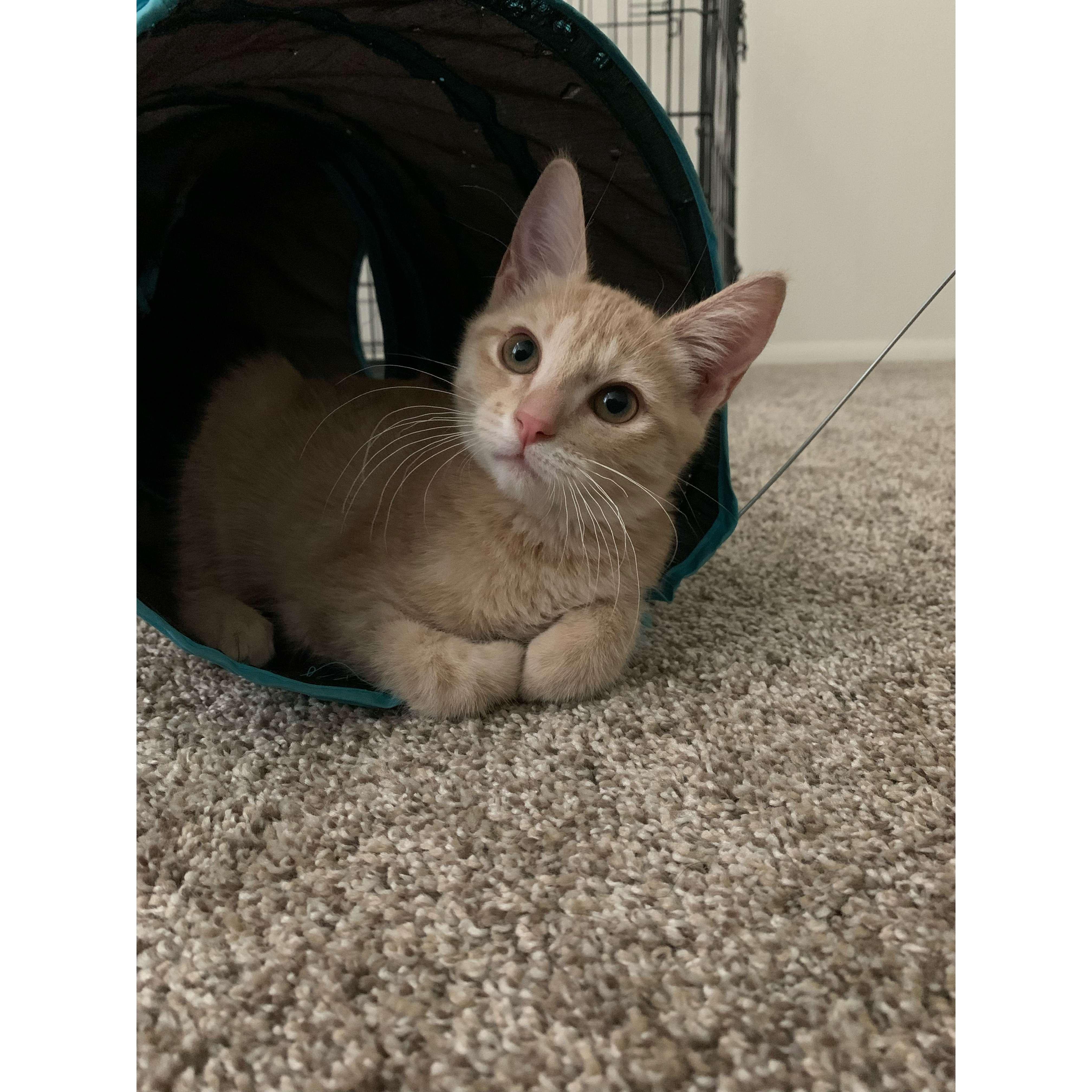 Elsa July 2022