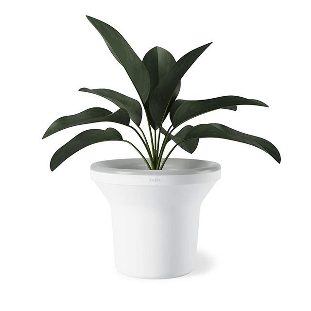 Umbra Ora Planter, White