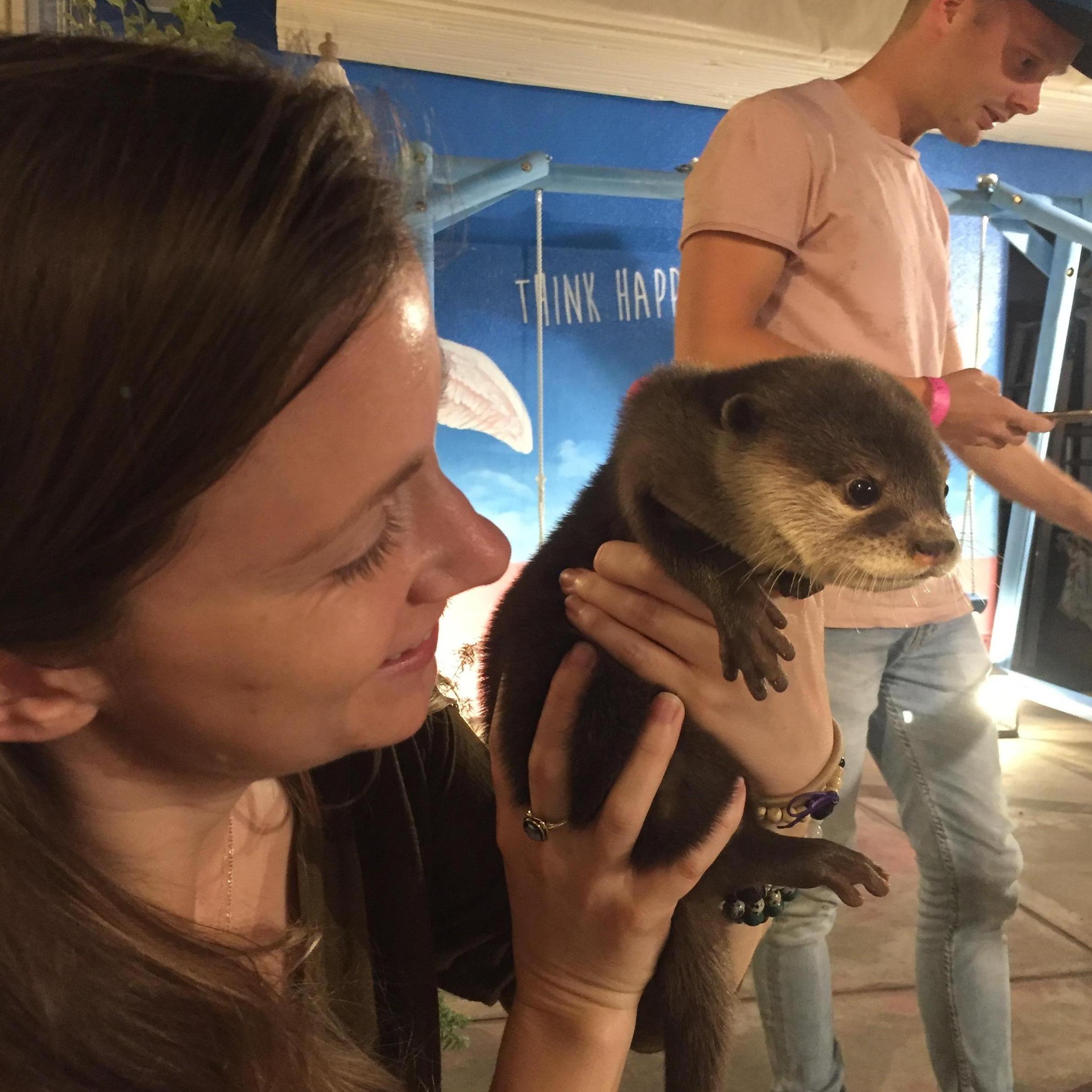 Here's an otter friend we got to know at a different animal cafe in Tokyo. This was followed by Kimberly handing Nick the otter, then immediately taking the otter back. 2017