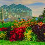 Frederik Meijer Gardens