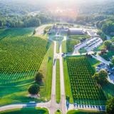 Chateau Elan Winery