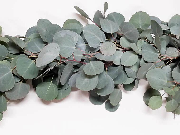 The Wedding Website of Kathryn Colohan and David Sweck