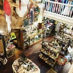 Thrifting in Petaluma