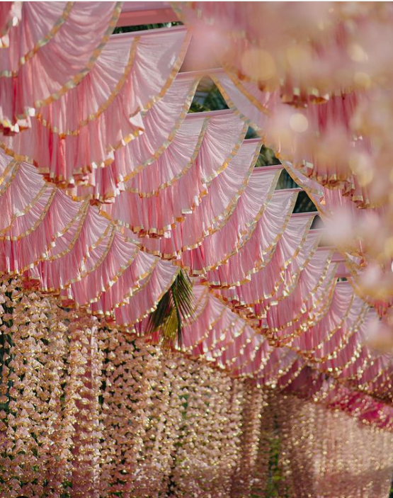 The Wedding Website of To love and be loved is to feel the sun from both sides..