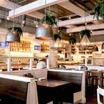Maplewood Kitchen and Bar