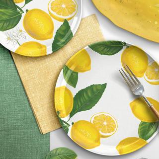 Lemon Fresh Melamine Dinner Plate, Set of 6