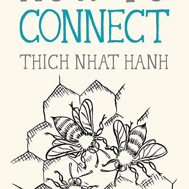 How to Connect (Mindfulness Essentials)