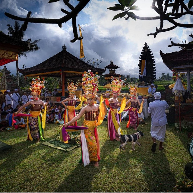 Balinese Dance Show Tickets