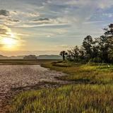 Pinckney Island National Wildlife Refuge