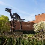 McClung Museum of Natural History & Culture
