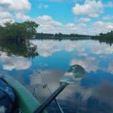 Jim Neville Marine Preserve