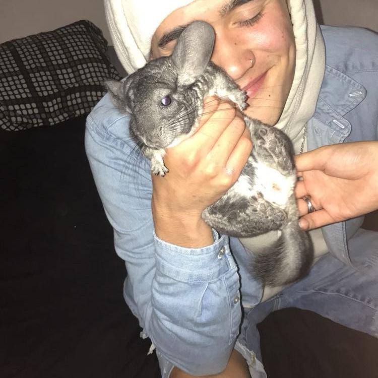 November 2018 - the night Diego and Allie met. The first picture Allie ever took of Diego