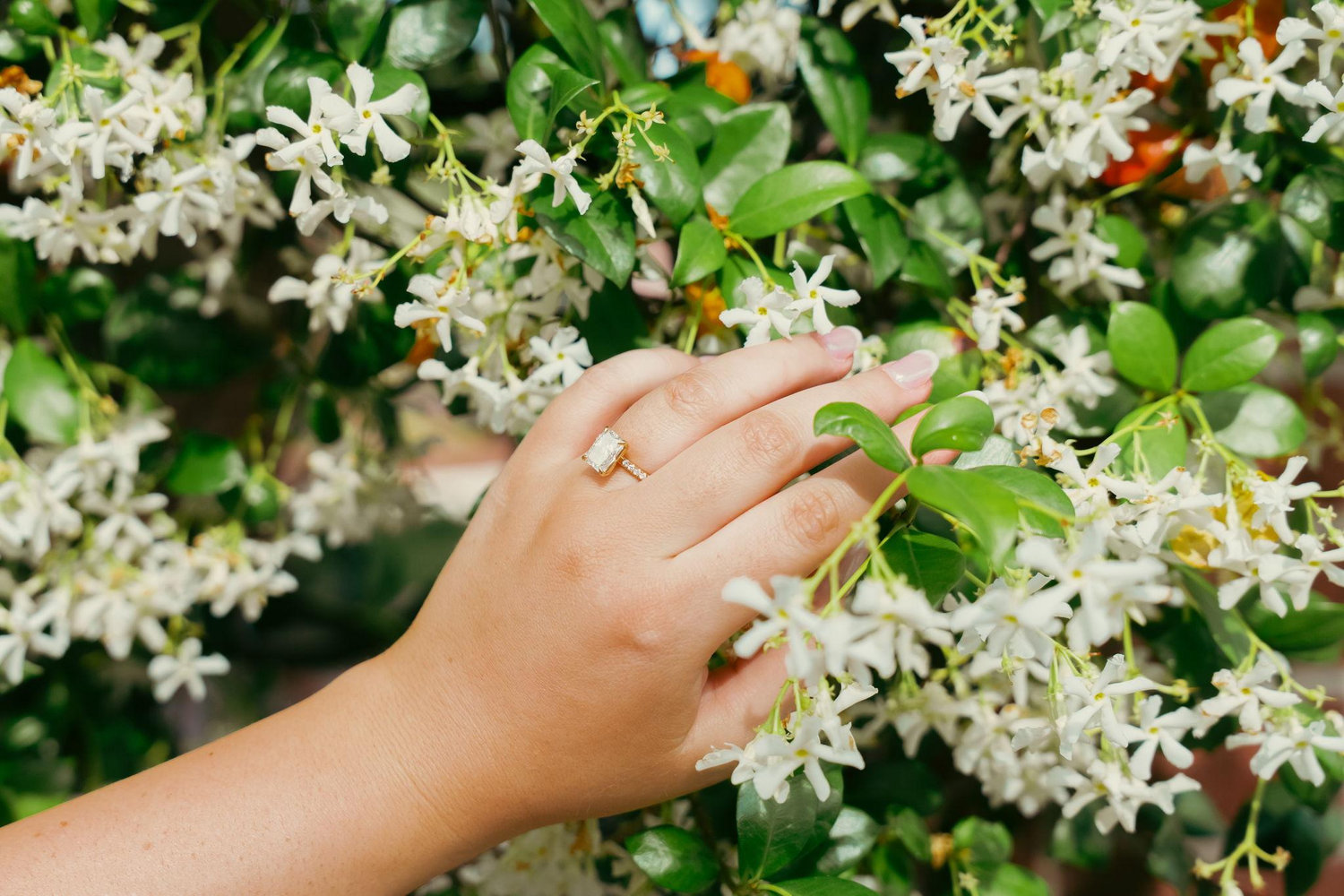 The Wedding Website of Alexa Jeanfreau and Lee Eichler